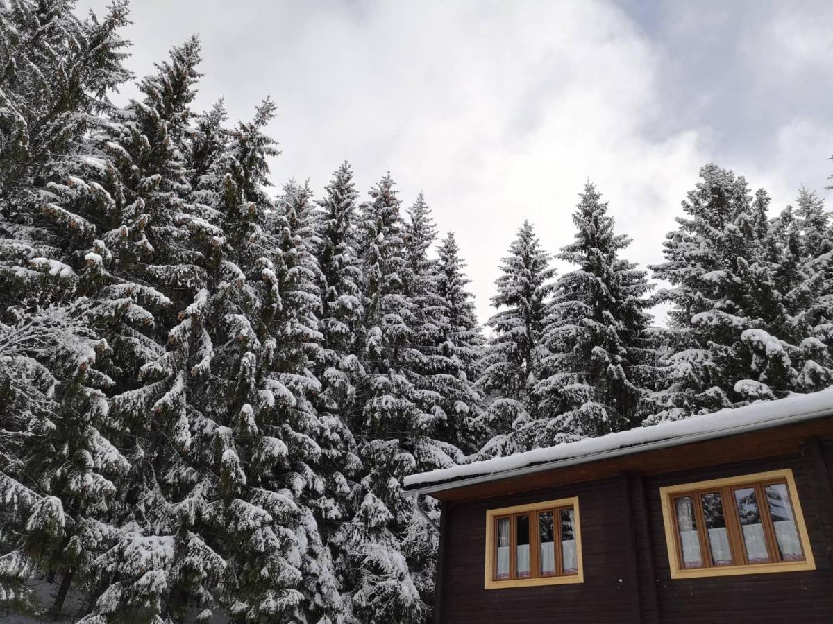Nizke Tatry - Krpacovo Apartment Dolna Lehota